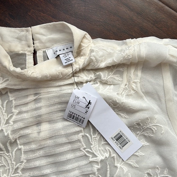 Topshop Sheer Long Sleeve Embroidery Top - Picture 8 of 9